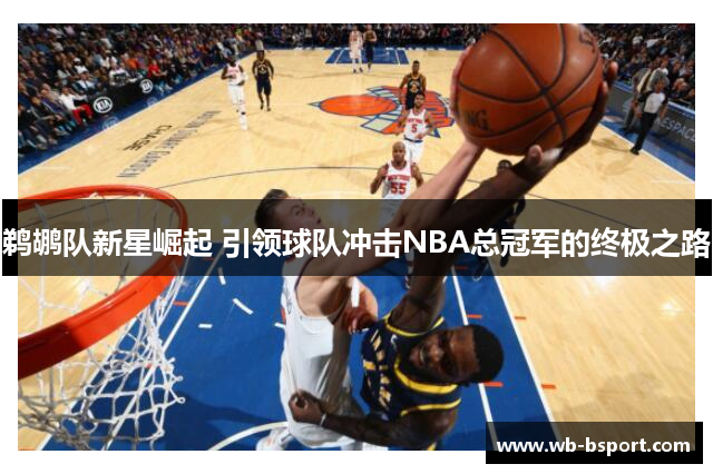 鹈鹕队新星崛起 引领球队冲击NBA总冠军的终极之路